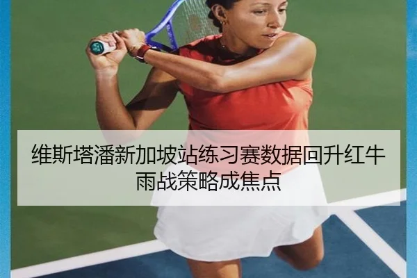 维斯塔潘新加坡站练习赛数据回升红牛雨战策略成焦点